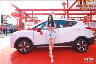 香车美女最新爆料,揭秘娱乐圈背后的秘密与真相  第1张